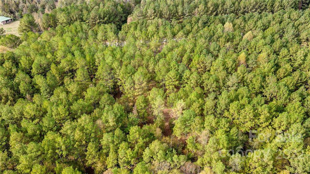 32 Acres Catawba Cove Drive - Photo 1