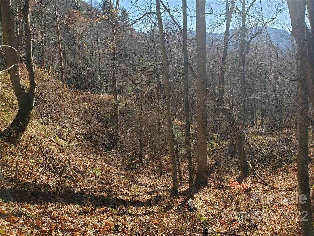00 Ryan Ridge Road - Photo 1