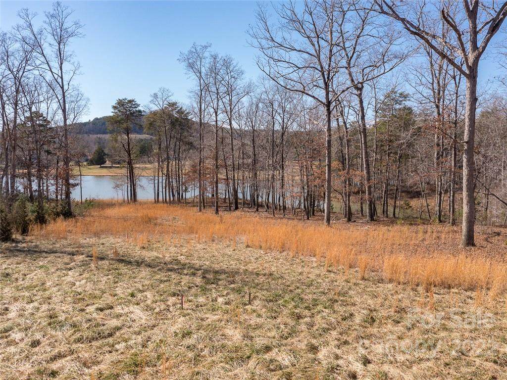 000 Birchover Lane - Photo 1