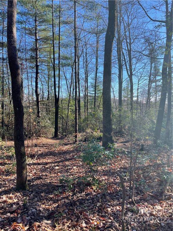 TR B-1 Upper Whitewater Road - Photo 1
