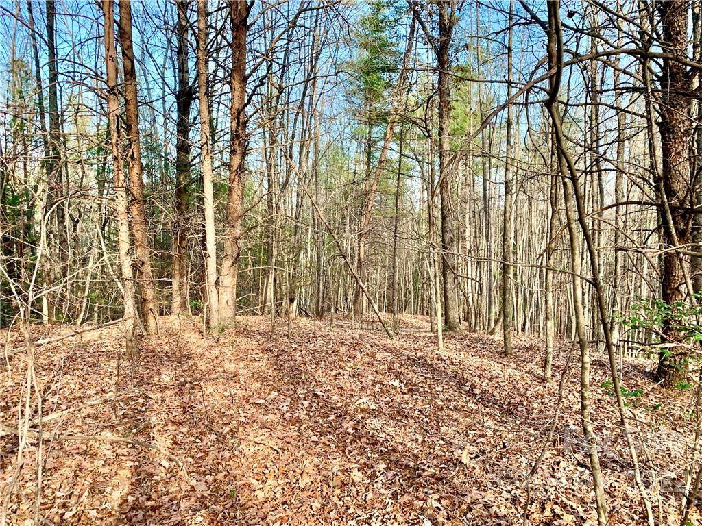 0 Round Mountain Parkway - Photo 1