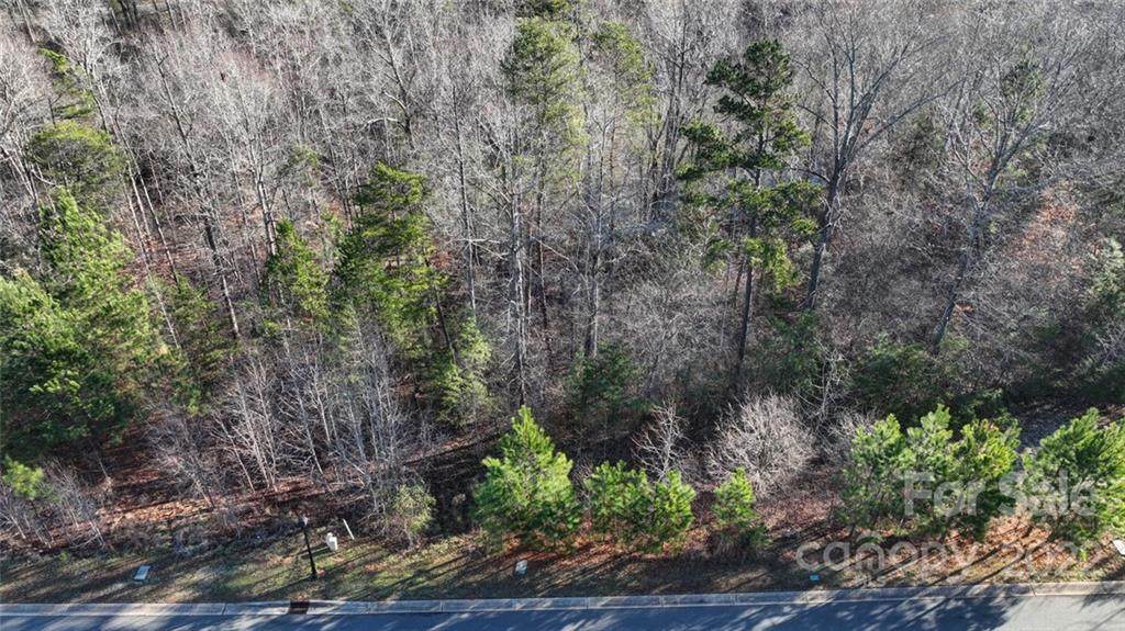 2013 Beauhaven Lane - Photo 1