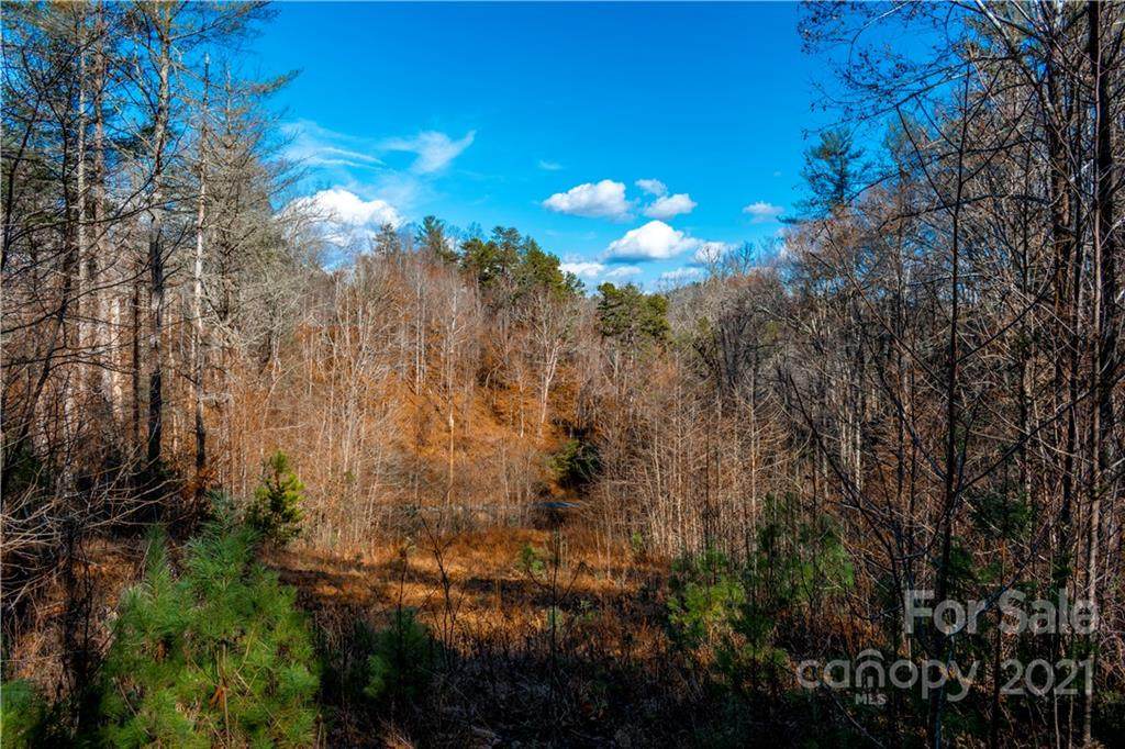 5 Acres Mearwild Drive - Photo 1