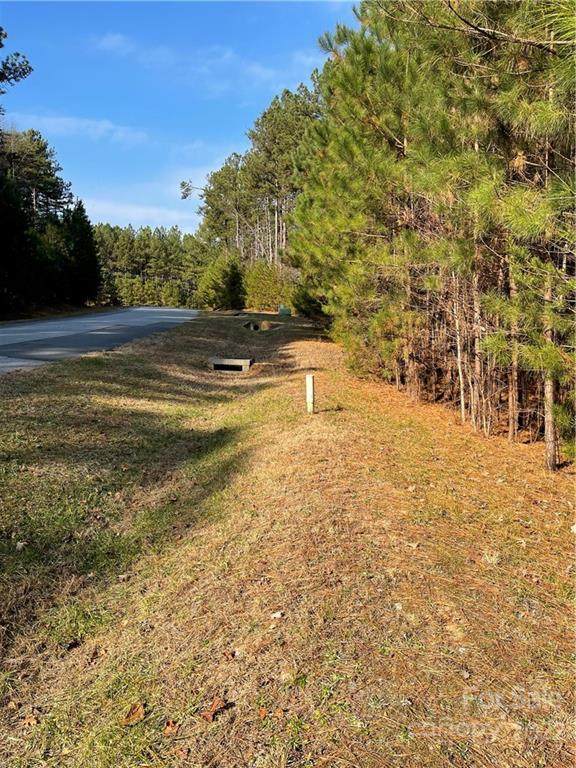 Lot 639 Timber Lake Drive - Photo 1