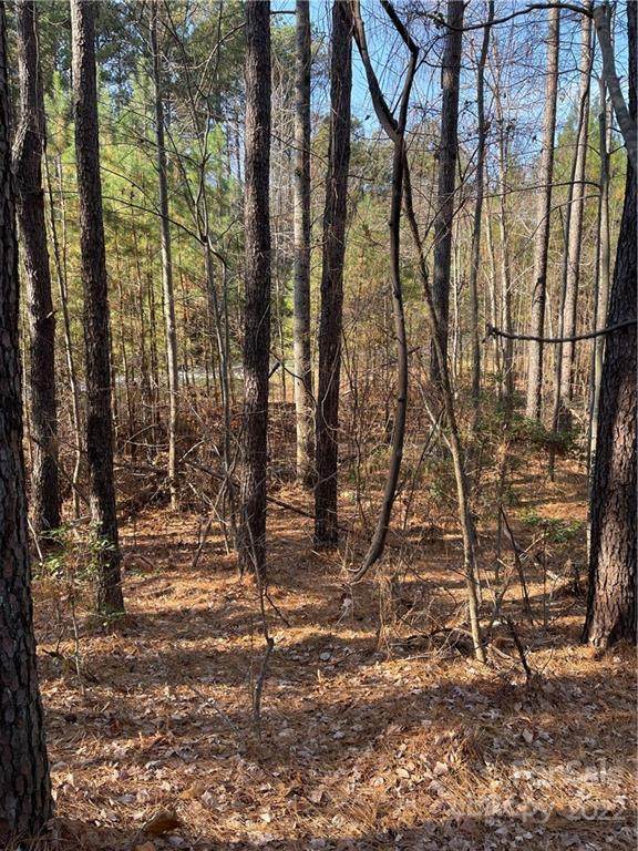 Lot 640 Timber Lake Drive - Photo 1