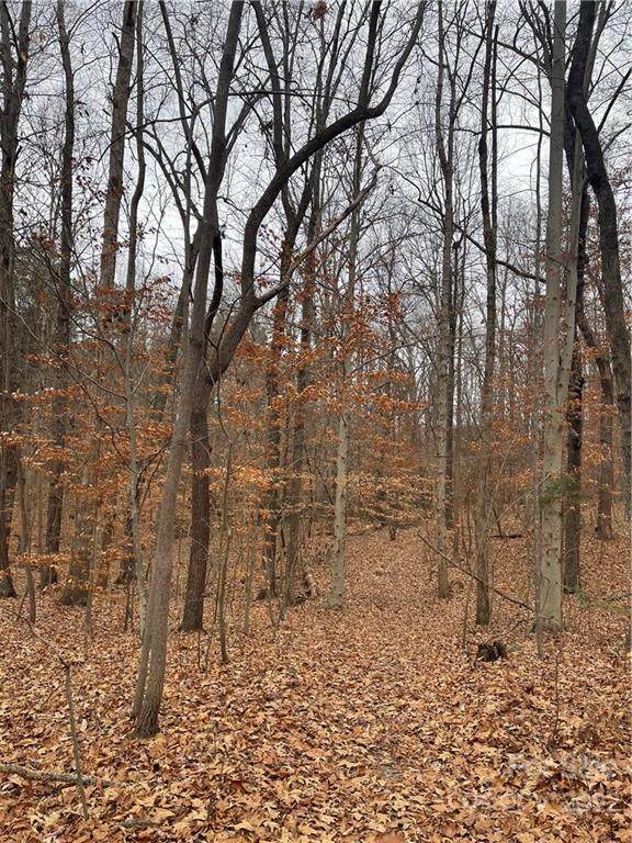 Lot 641 Timber Lake Drive - Photo 1