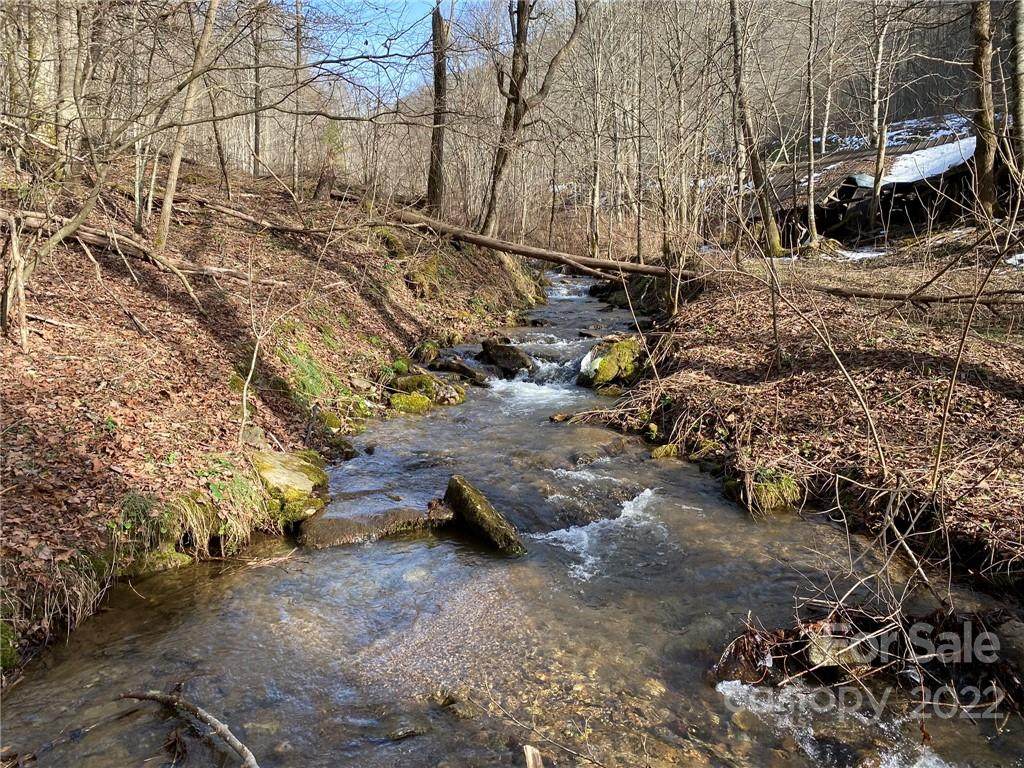 575 Amos Creek Road - Photo 1