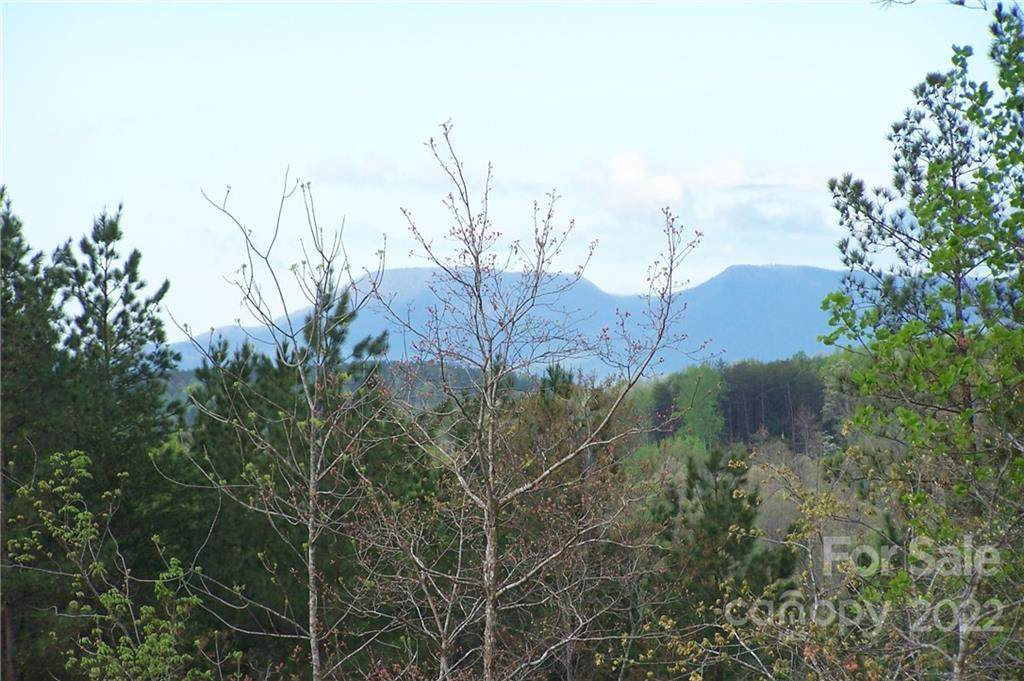 Tract 7 County Line Road - Photo 1
