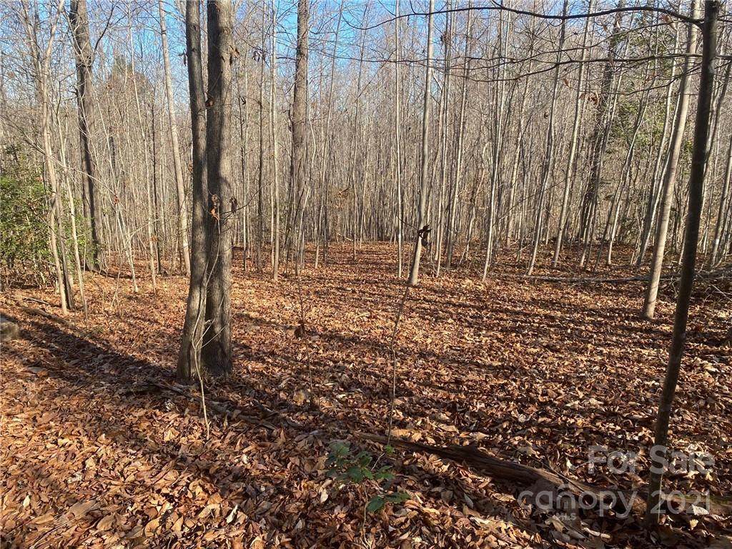 3062 Shell Hollar Road - Photo 1