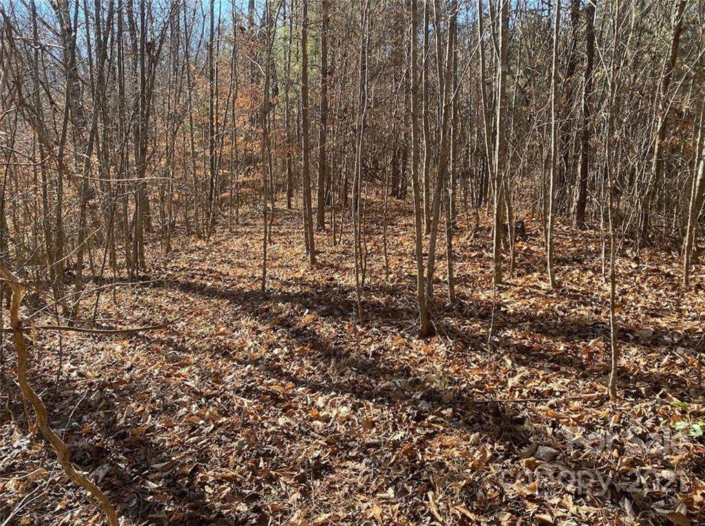 3086 Shell Hollar Road - Photo 1