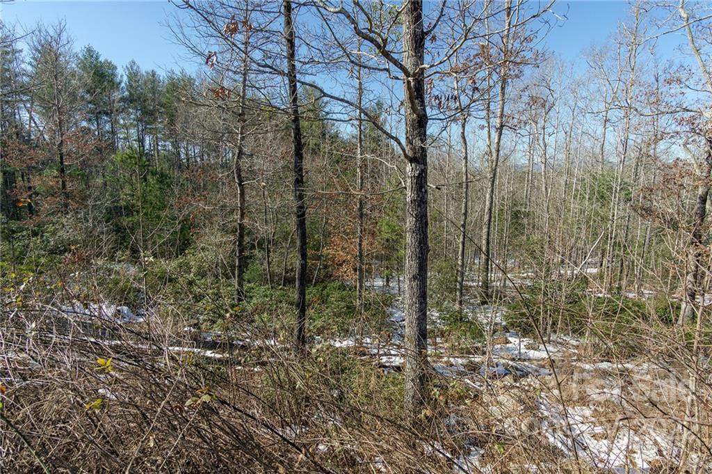 V/L Ridge Point Road - Photo 1