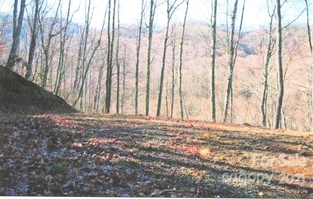 A25 Tawodi Trail - Photo 1