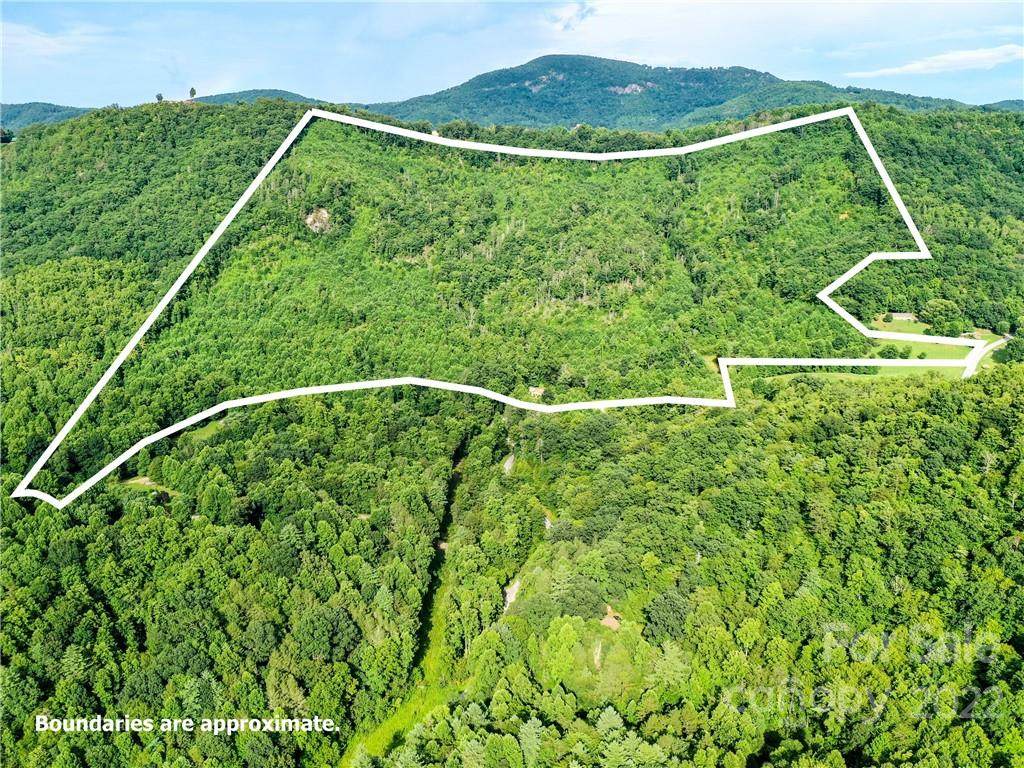 447 Hog Rock Road - Photo 1