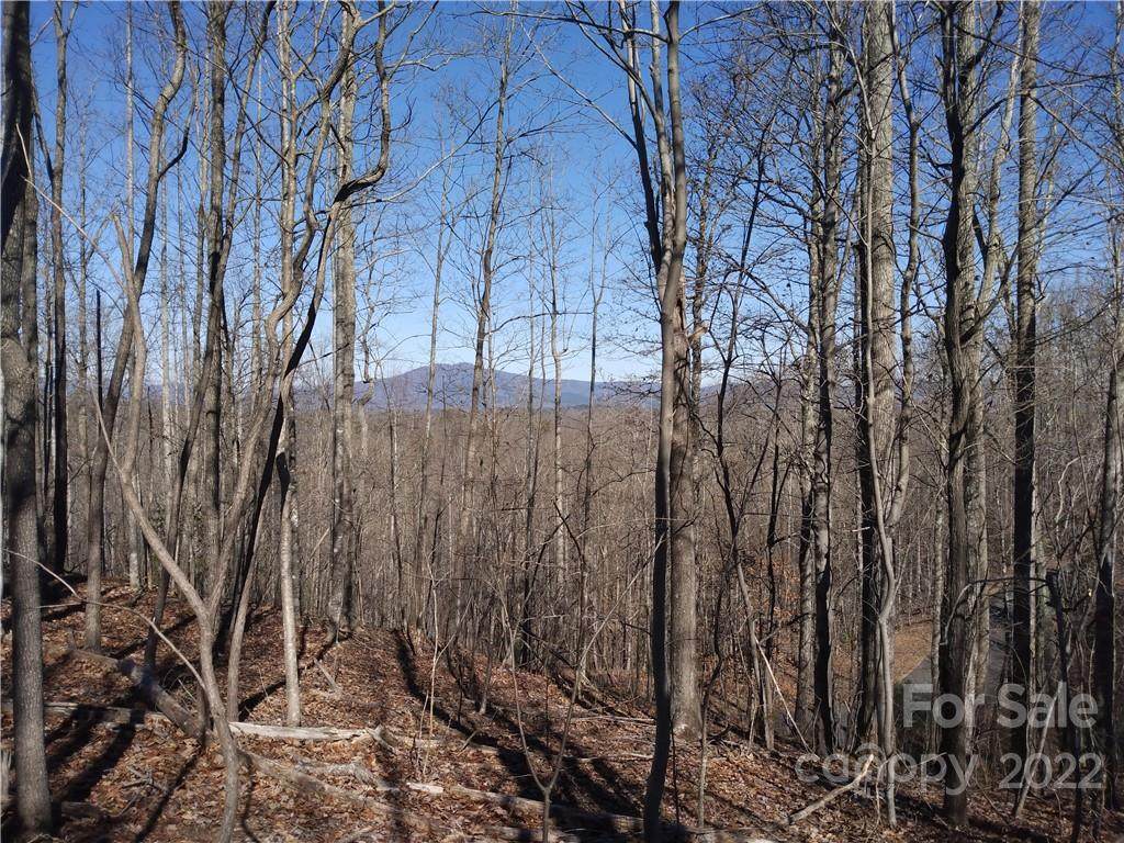 180 Black Lark Drive - Photo 1