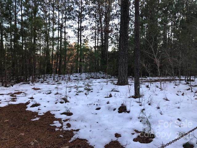 00 Clark Road - Photo 1