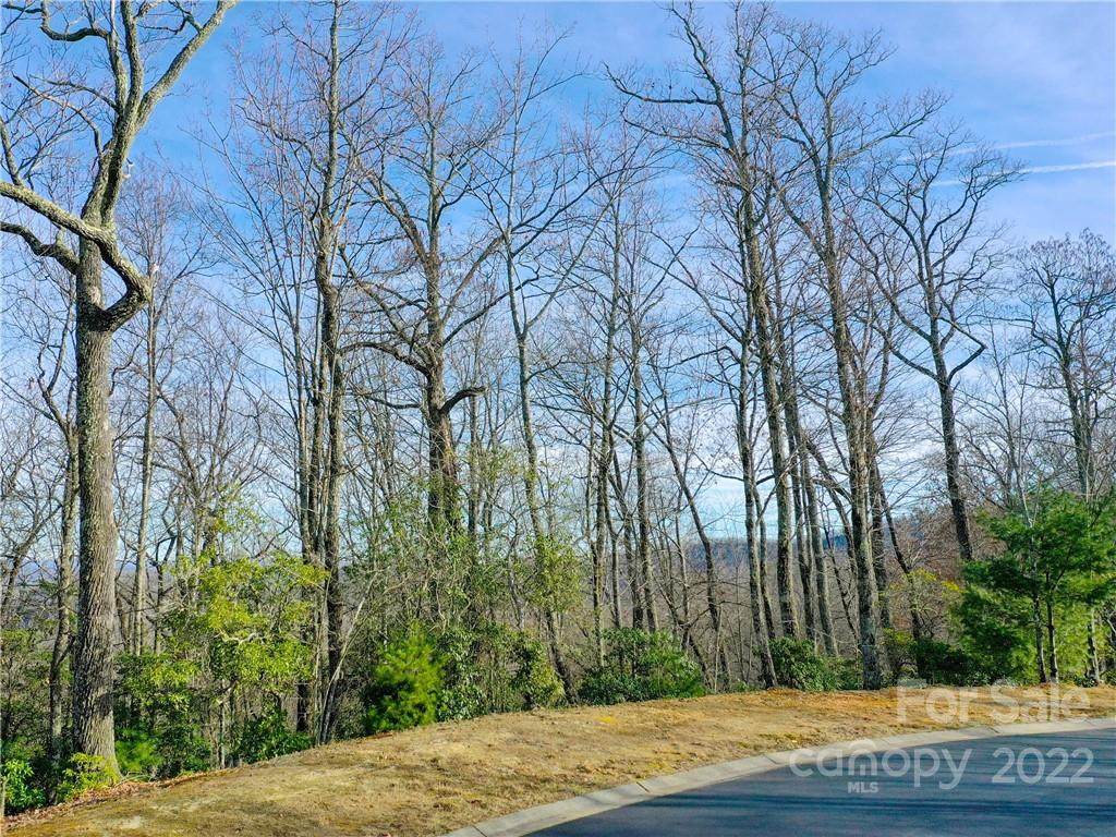 1114 Mills River Way - Photo 1