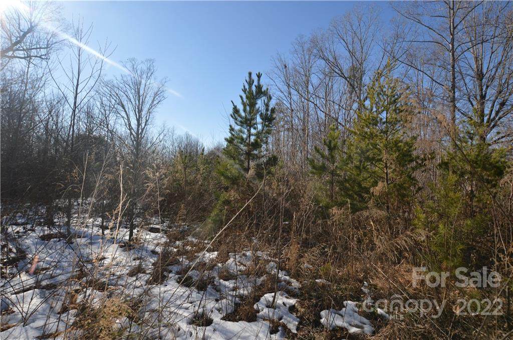 0 Homestead Drive - Photo 1