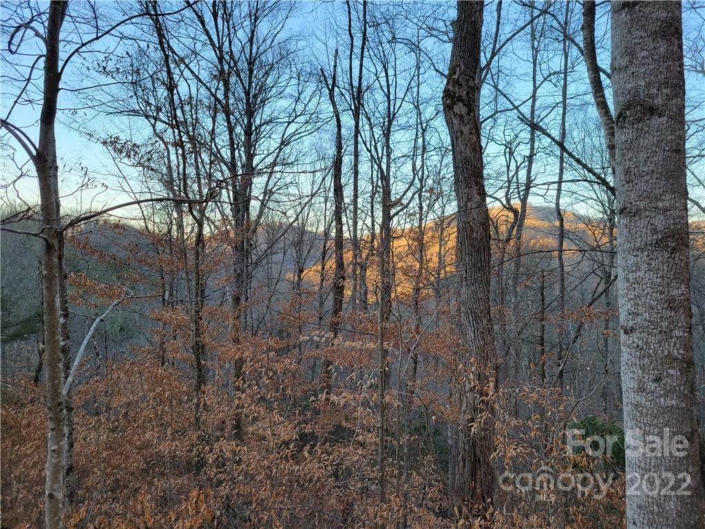TBD Old Murray Road - Photo 1