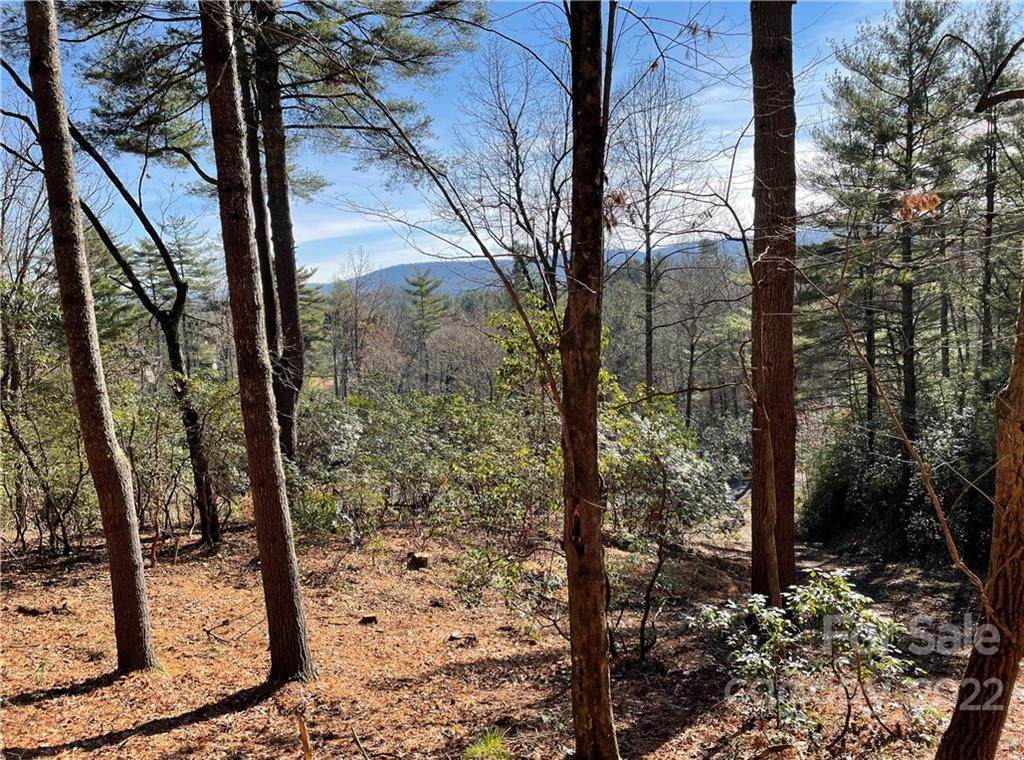 LOT 57 Winterberry Drive - Photo 1