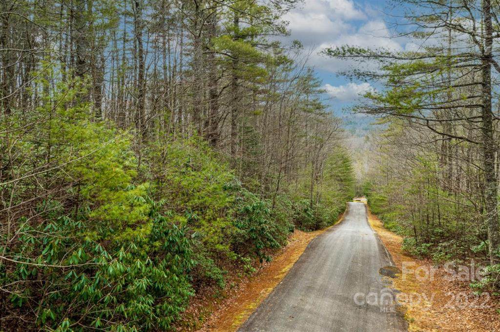 0 Big Pine Road - Photo 1