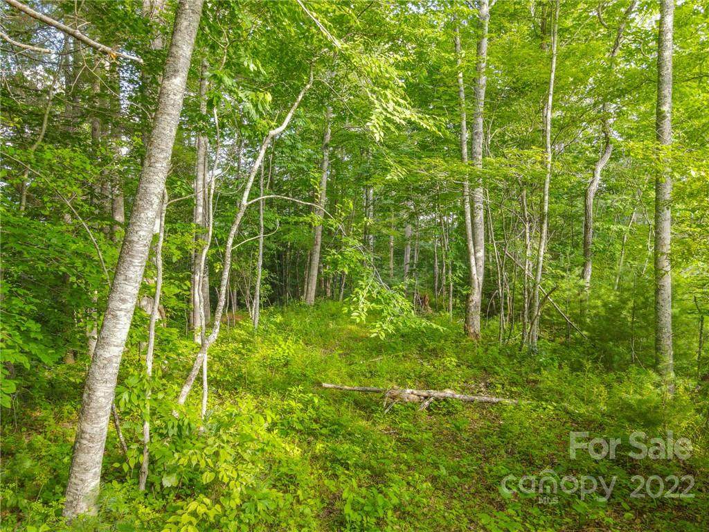 58 Cherie Court - Photo 1