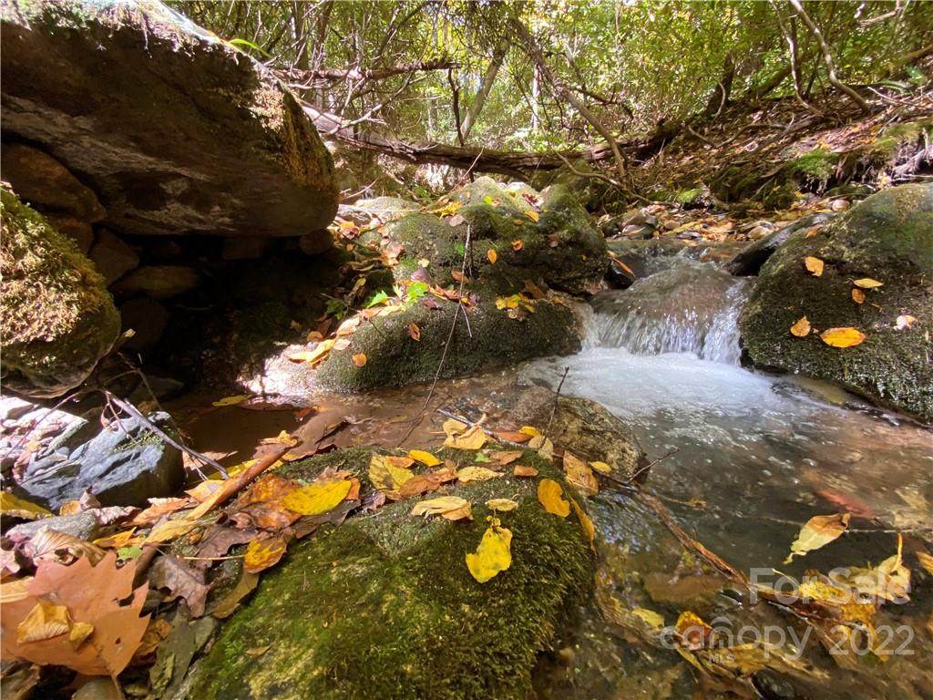 000 Gusher Knob Road - Photo 1