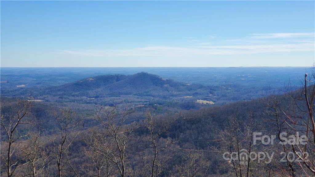 373 Hickory Nut Lane - Photo 1