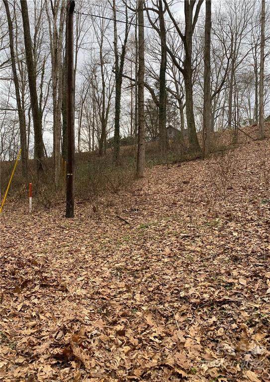 L Hickory Hill Road - Photo 1