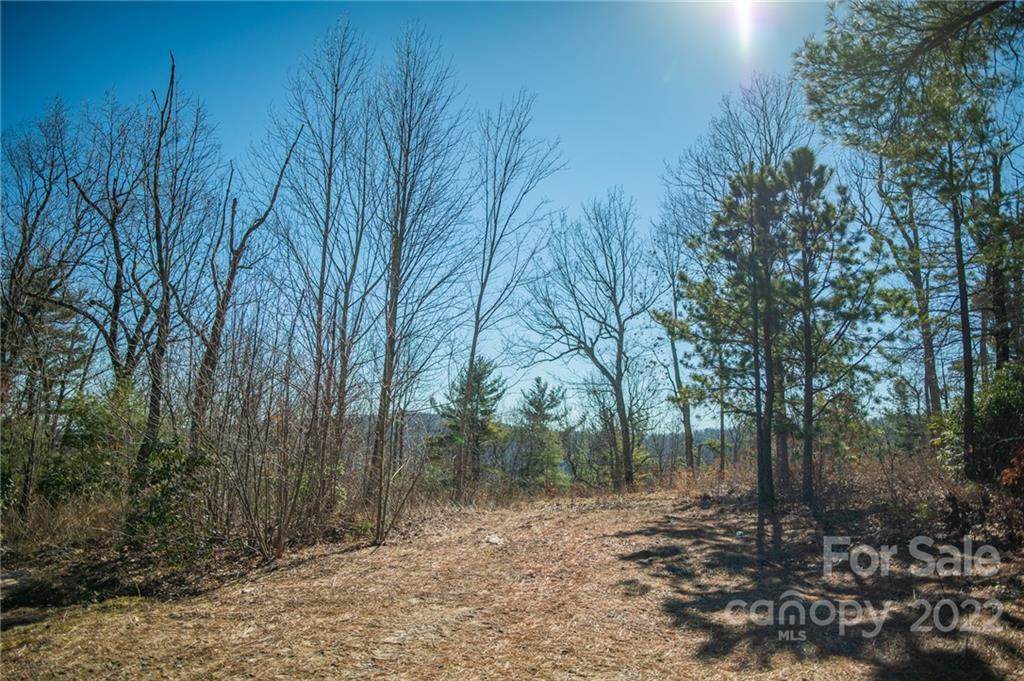 607 Overlook Drive - Photo 1
