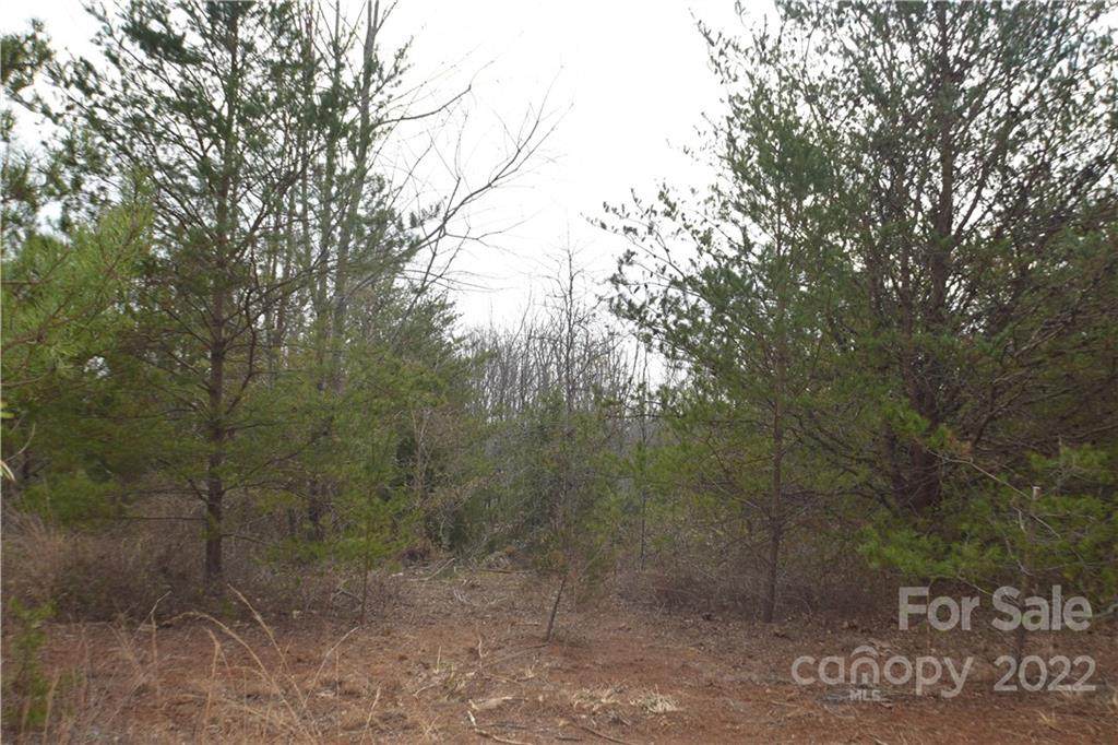 1216 Daisy Lane - Photo 1