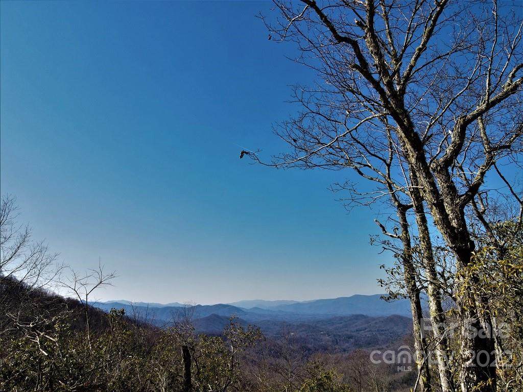 TBD Battle Branch Road - Photo 1