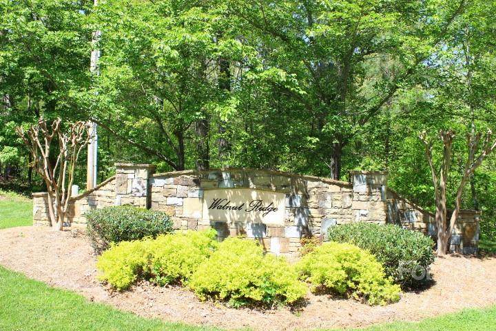 Lot 1 Walnut Ridge Drive - Photo 1
