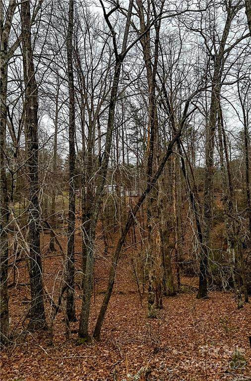 00 Horse Creek Drive - Photo 1
