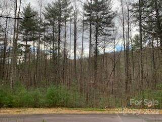 Lot 119 Huckleberry Ridge Lane - Photo 1