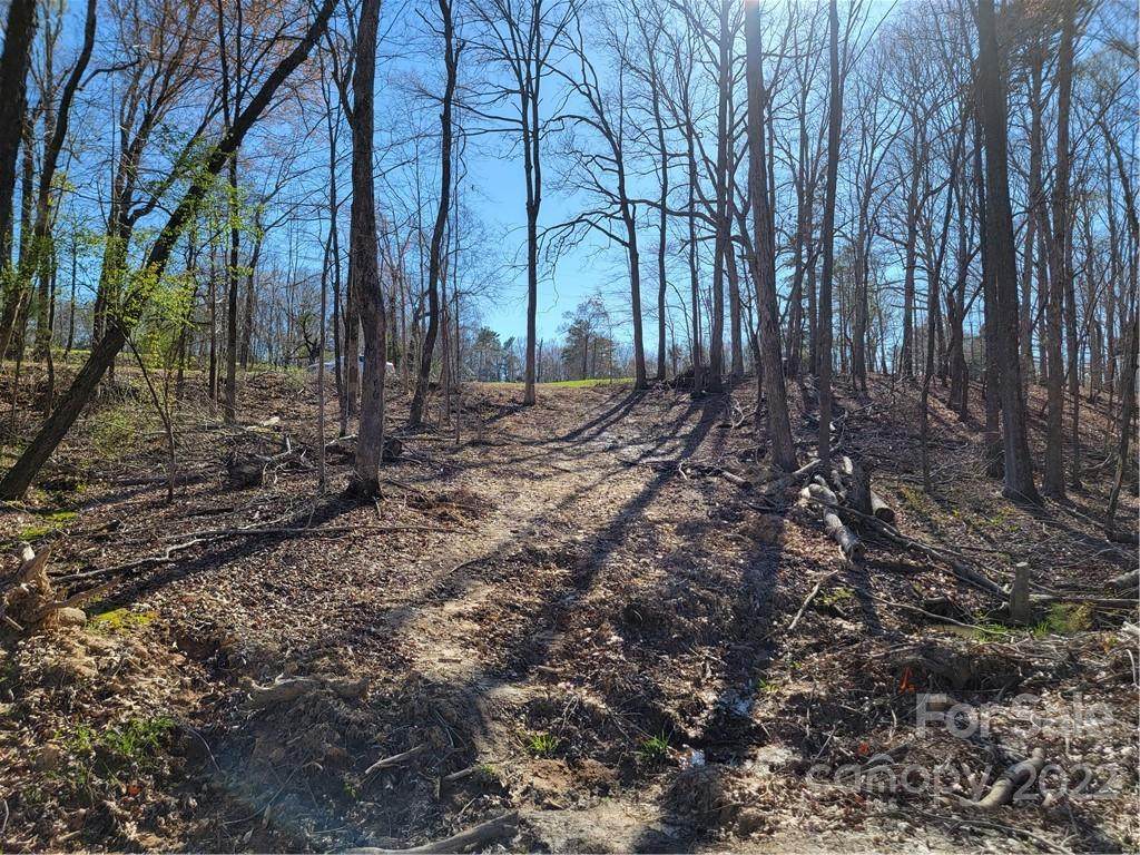 3 acres Simpson Road - Photo 1