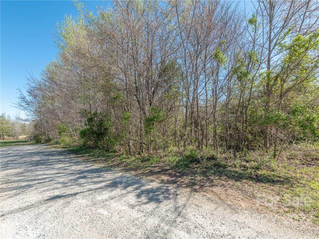 162 Third Creek Church Road - Photo 1