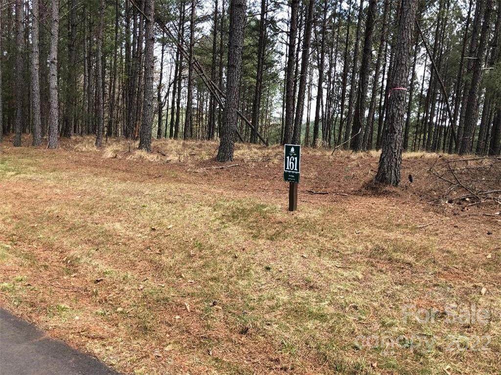 128 Table Rock Trace - Photo 1