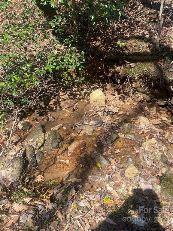 0 Boone Gap Lane - Photo 1