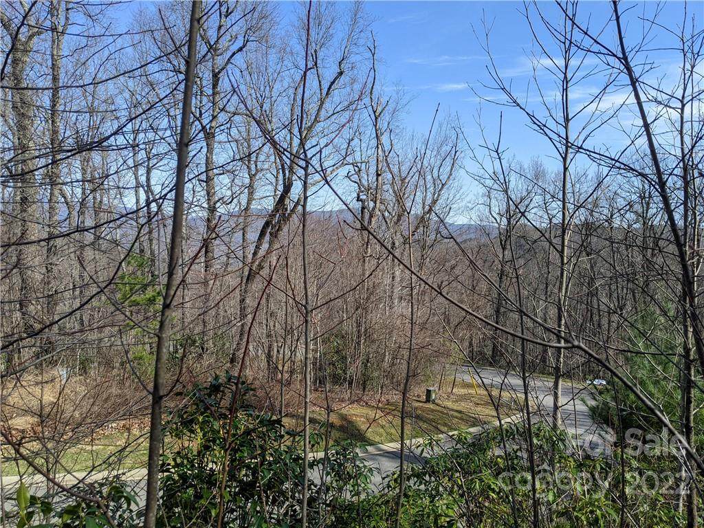 9 & 11 Crockett Ridge Road - Photo 1
