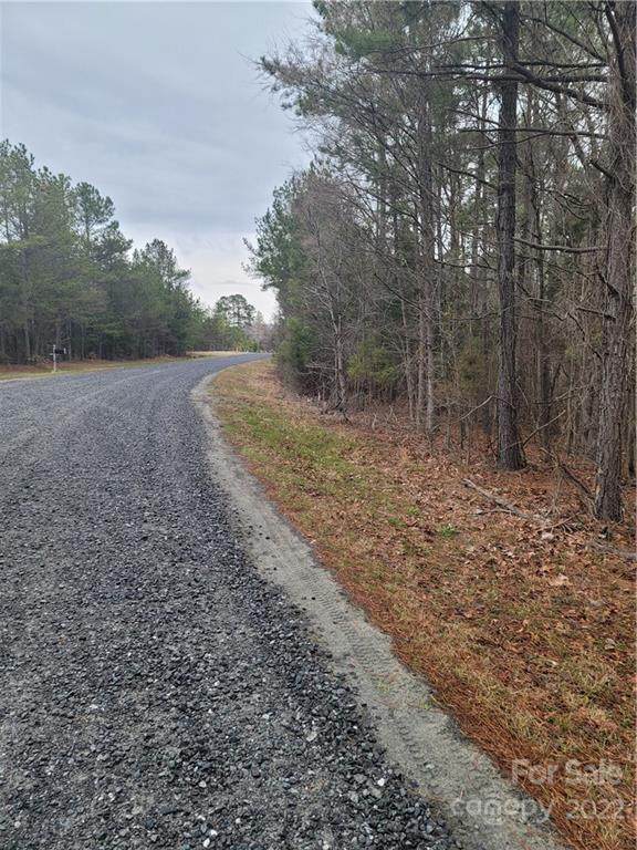 2093 Lometa Road - Photo 1