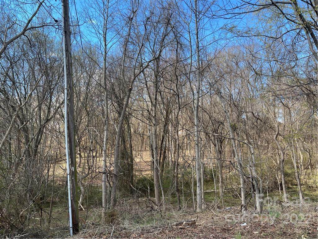 00 Clipper Lane - Photo 1