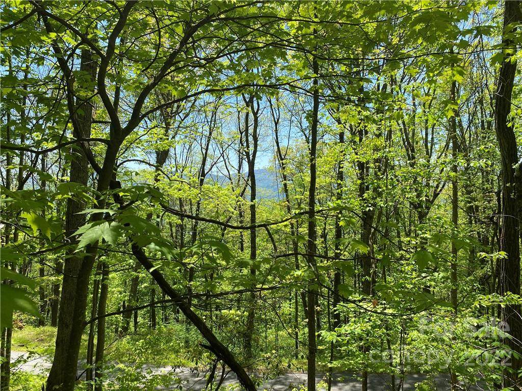 811 Dogwood Trail - Photo 1
