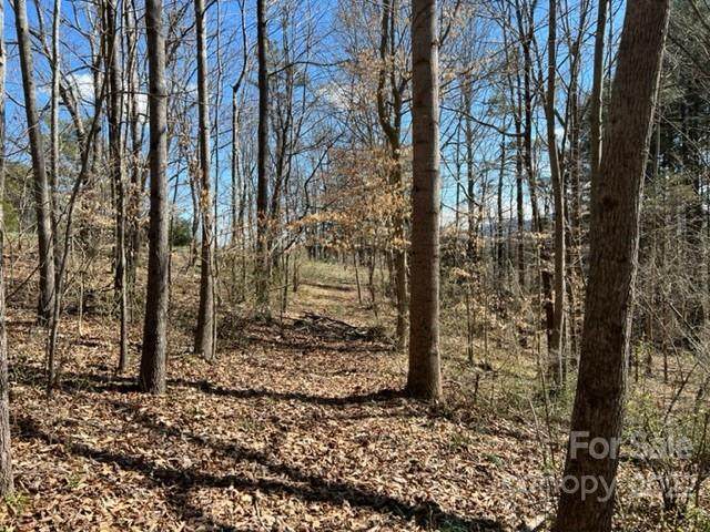 9999 Starnes Cove Road - Photo 1