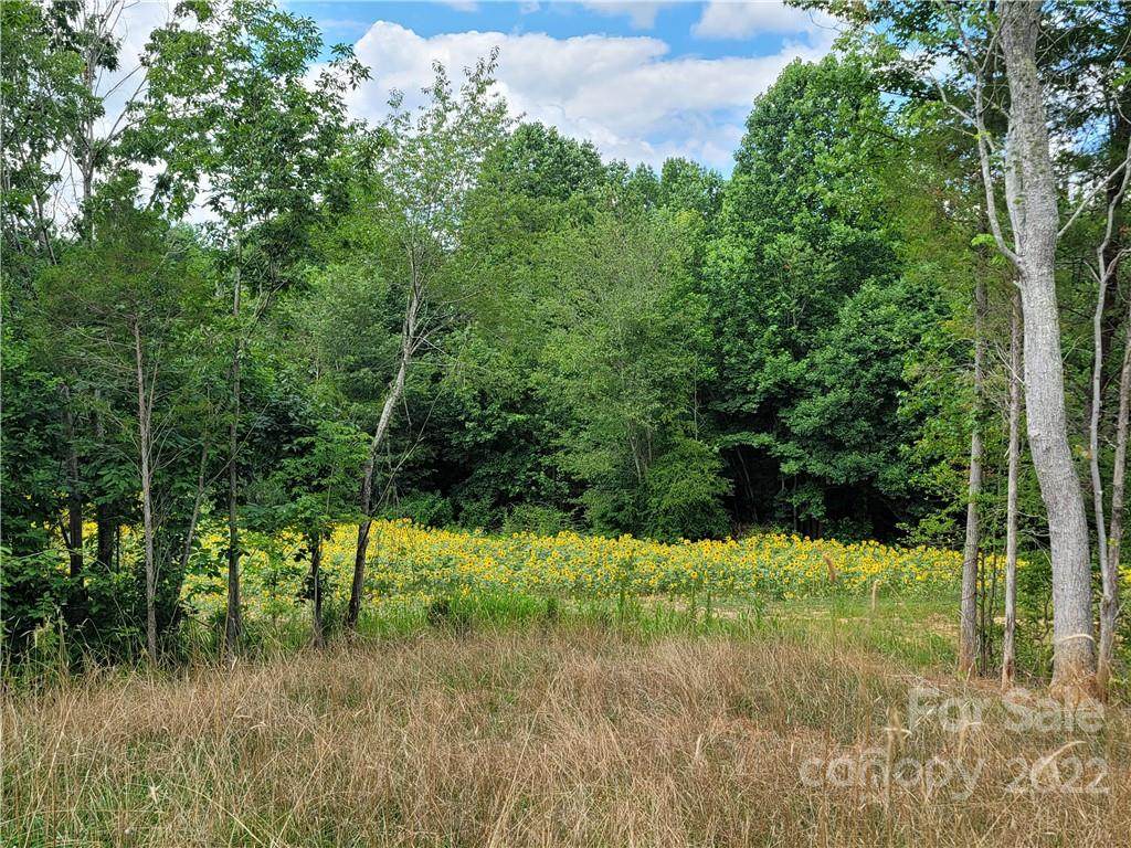 Lot 9 Wingate Hill Road - Photo 1