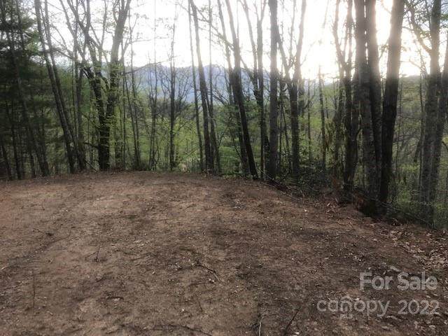 000 Sutton Ridge Road - Photo 1