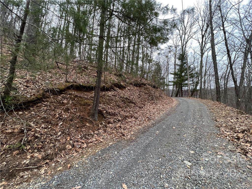 00 Hoot Owl Bill Road - Photo 1