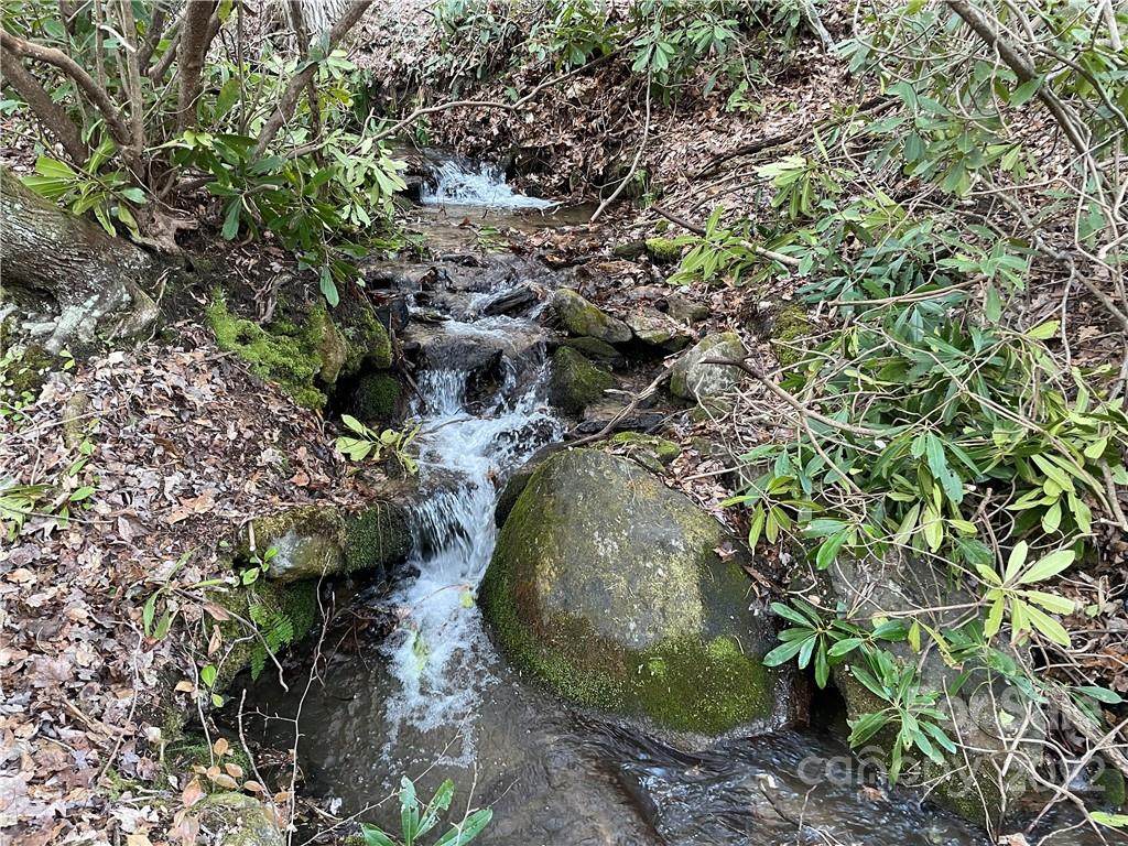Lot 17 Cataloochee Lane - Photo 1