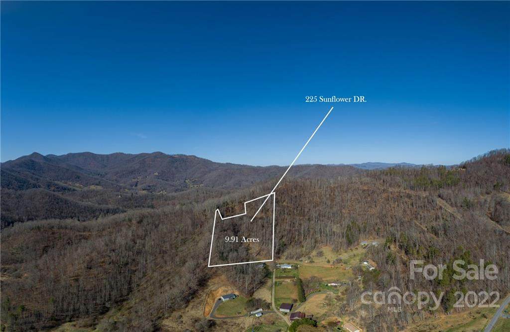 225 Sunflower Drive - Photo 1