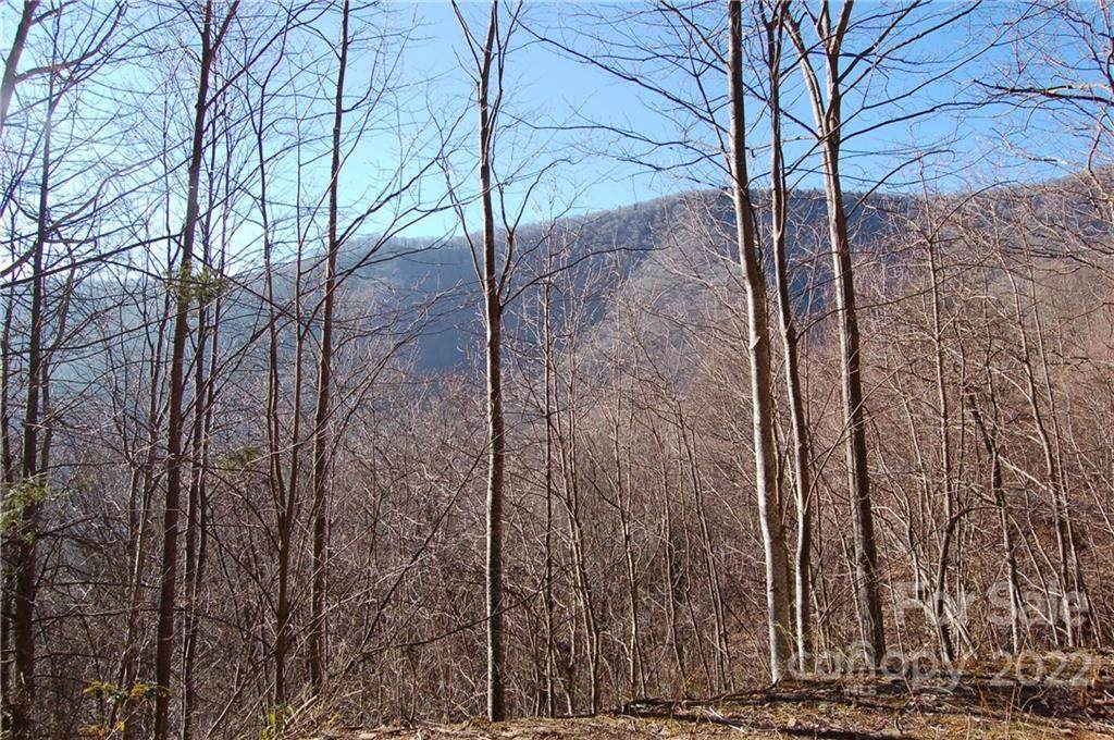 298 Winding Creek Drive - Photo 1