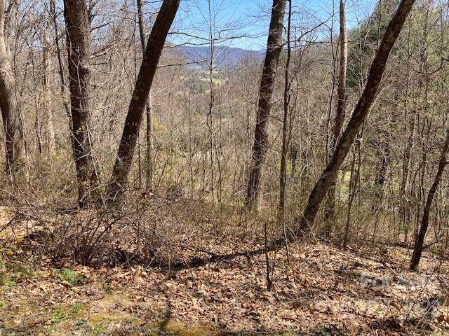 0 Coyote Hollow Road - Photo 1